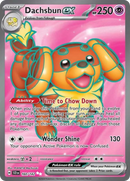 Pokémon TCG - Dachsbun ex - 160/142 - Stellar Crown - Ultra Rare Holo - NM