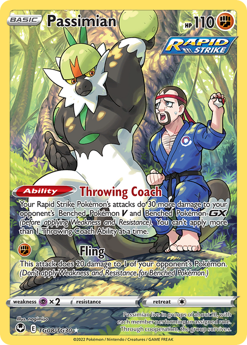 Pokémon TCG - Passimian Trainer Gallery - TG08/TG30 - Silver Tempest - Holo - NM